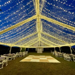 String Twinkle Lights